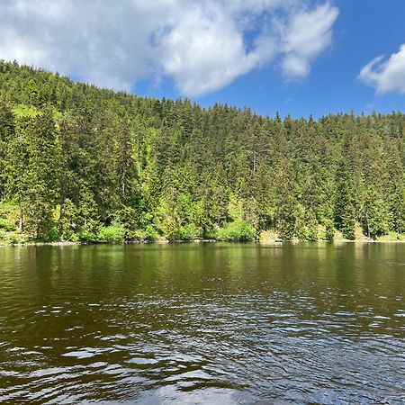 An Wanderwegen Gelegen Mit Terrasse Und Boxspringbett Apartment Sasbachwalden Bagian luar foto